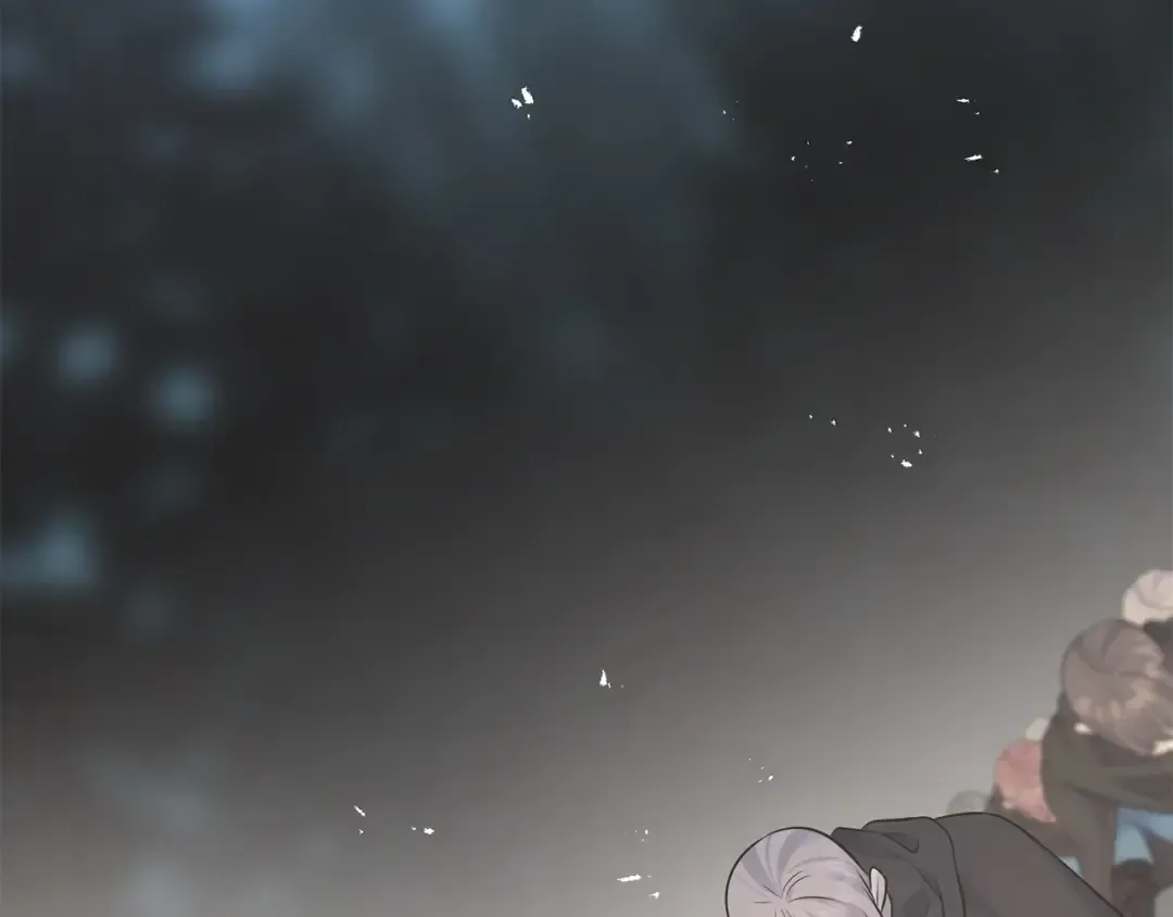 第195页