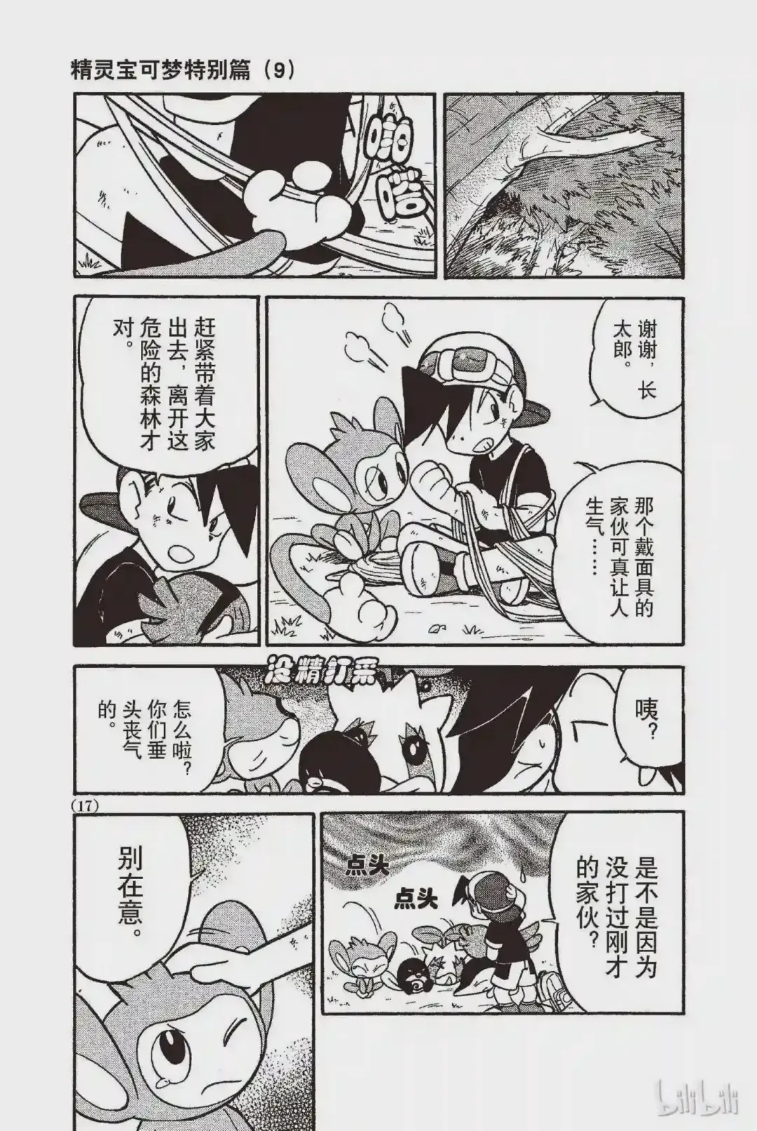 第17页