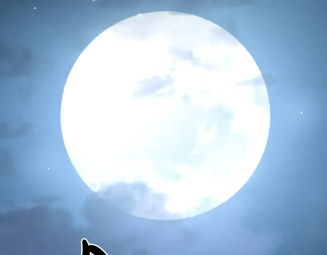 第302页