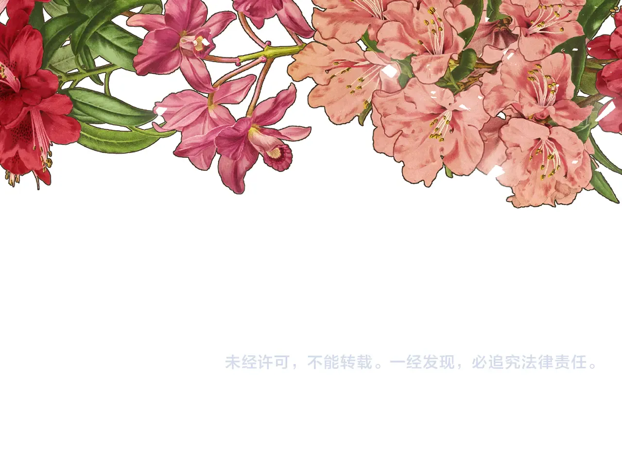 第235页