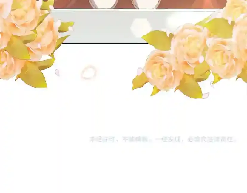 第224页