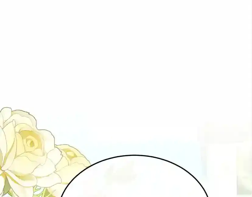 第221页