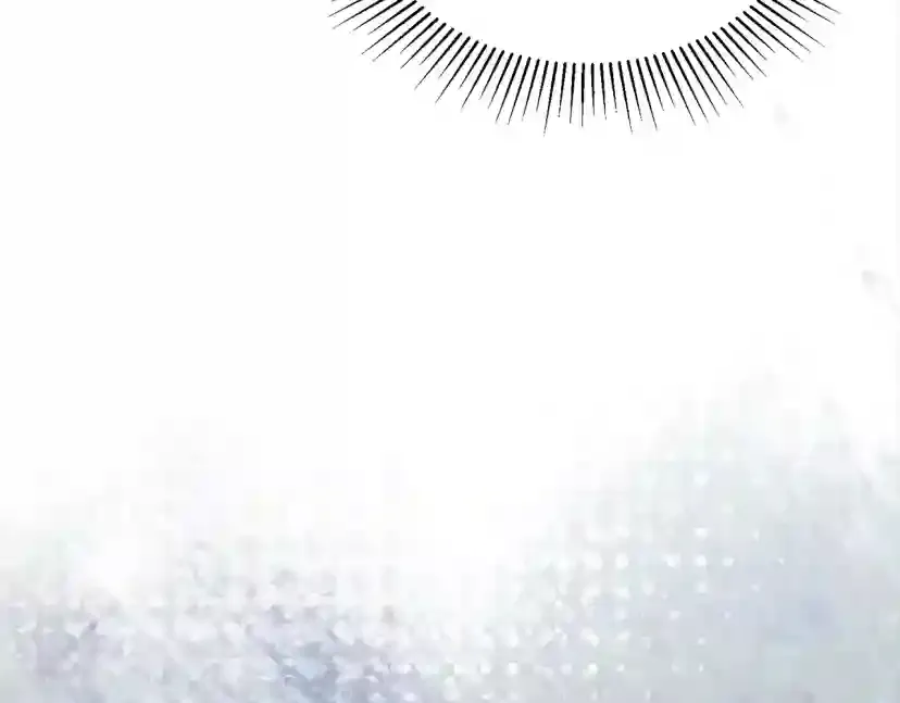 第236页