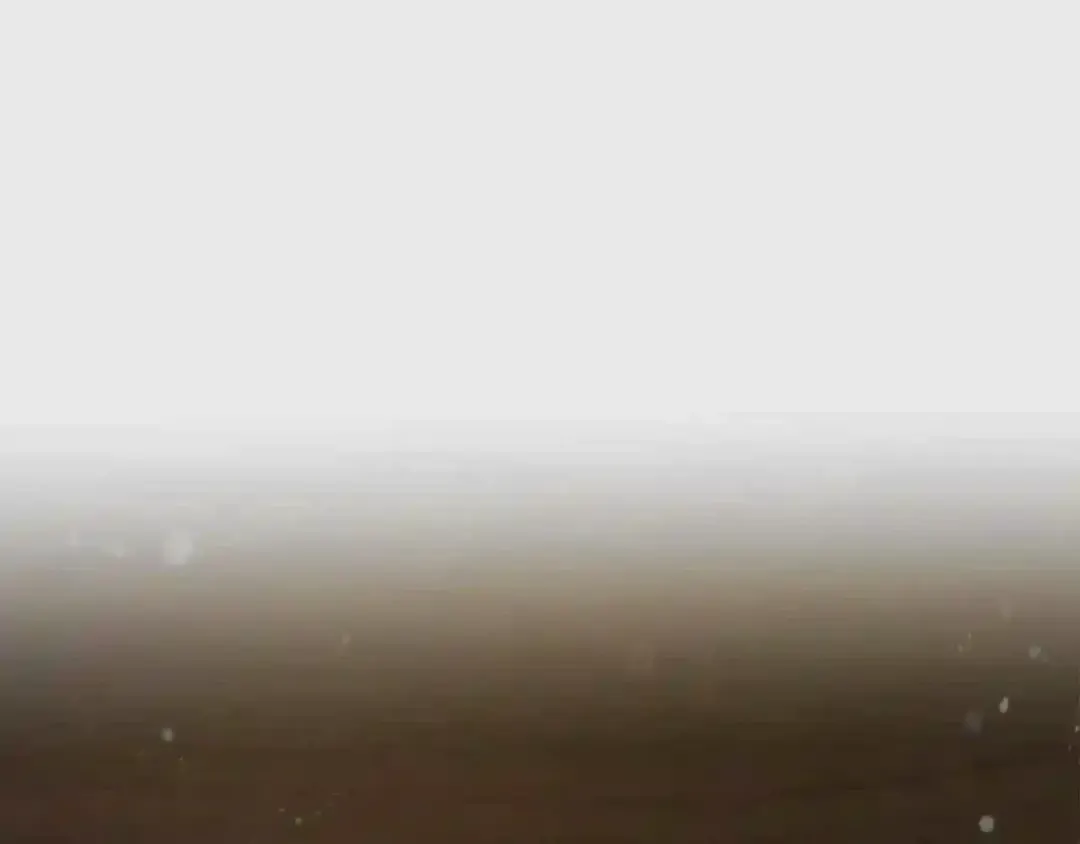第196页