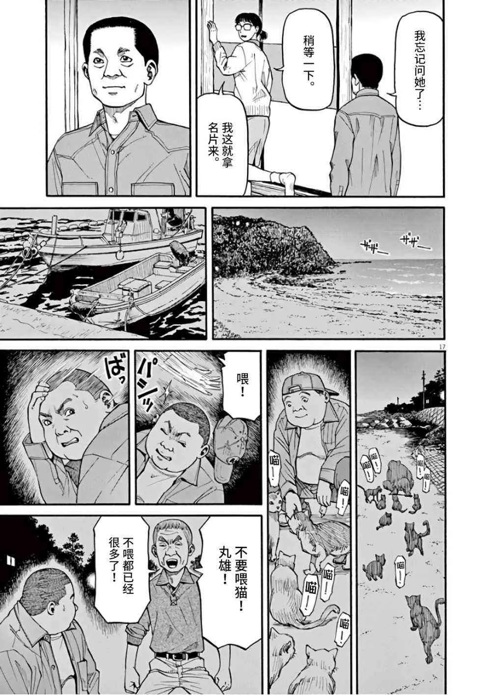 第17页