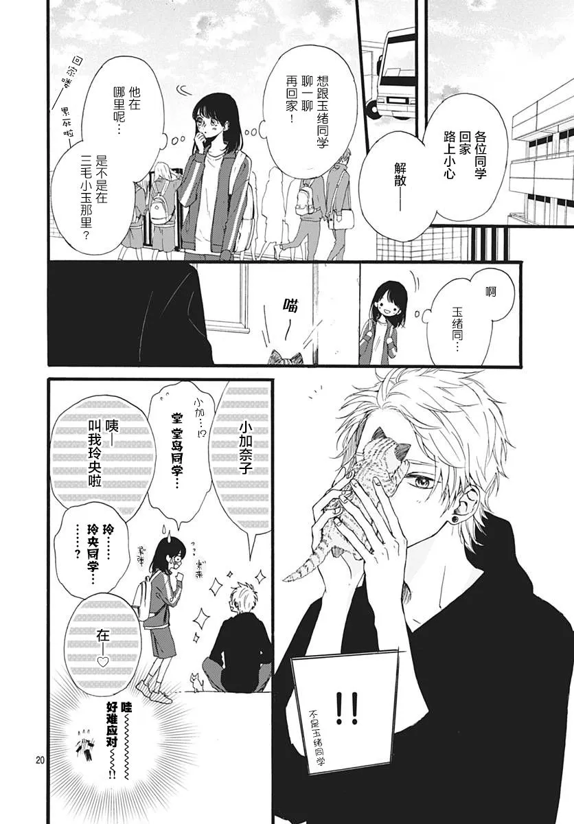 第20页