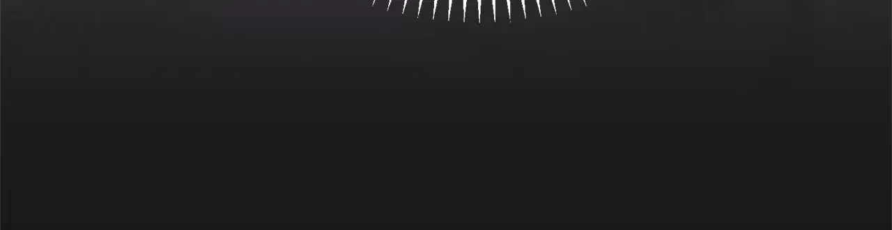 第241页