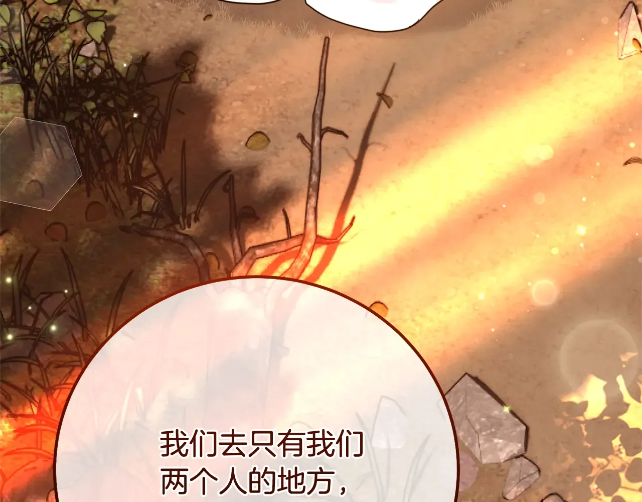 第245页