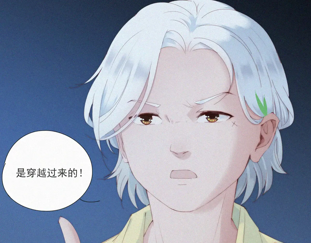 第53页