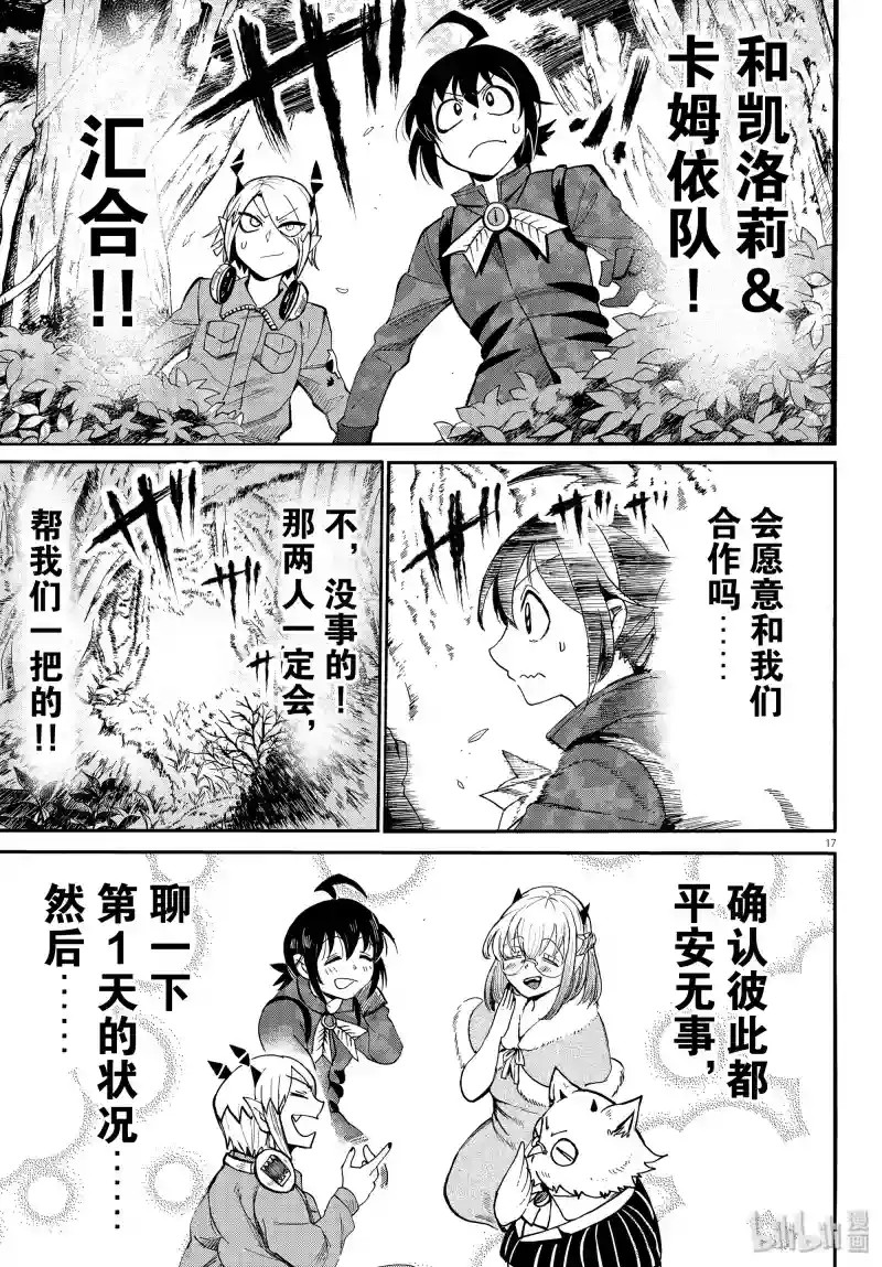 第17页