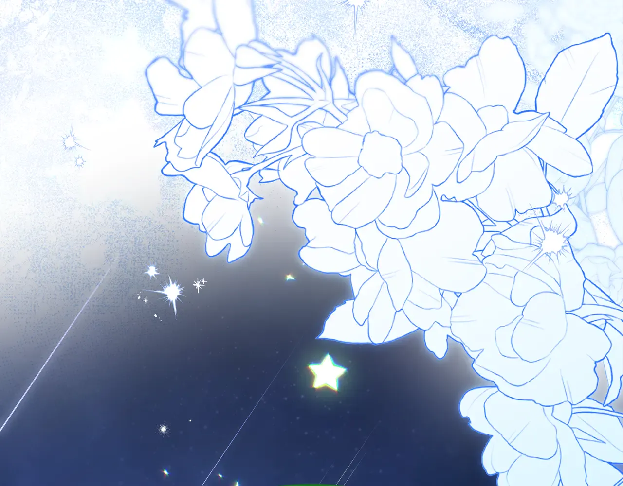 第204页