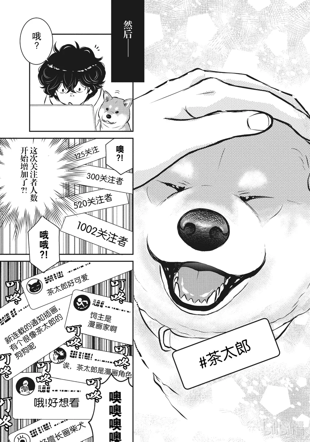 第51页