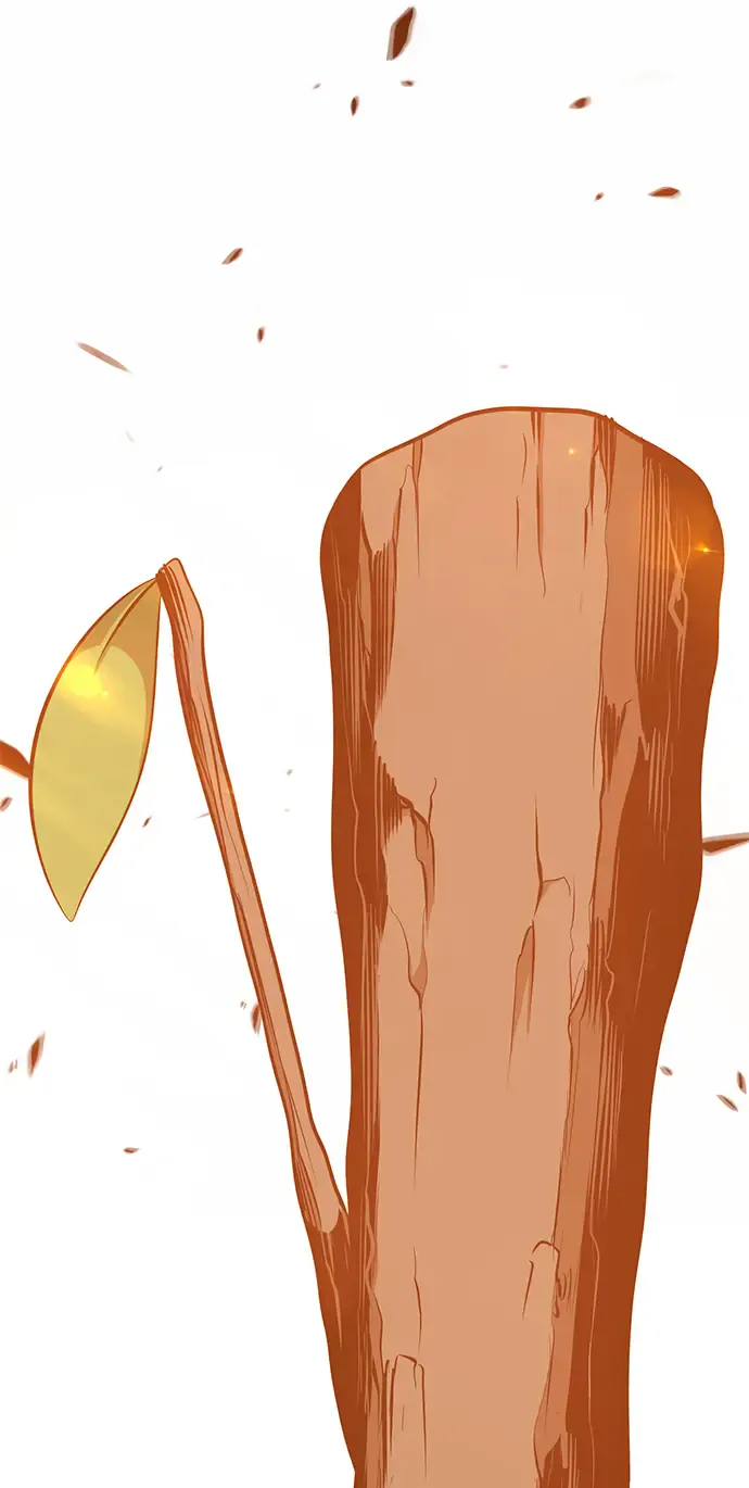 第224页