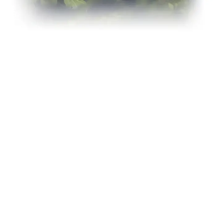 第227页