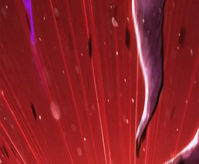 第276页