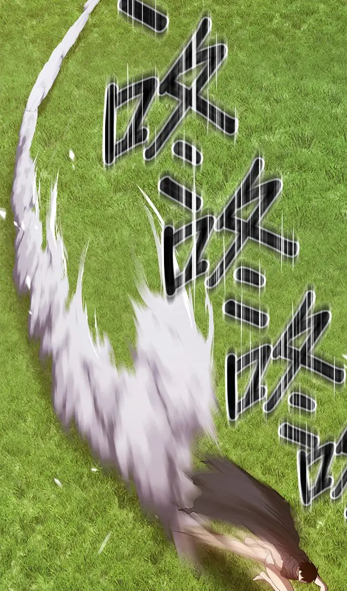 第223页