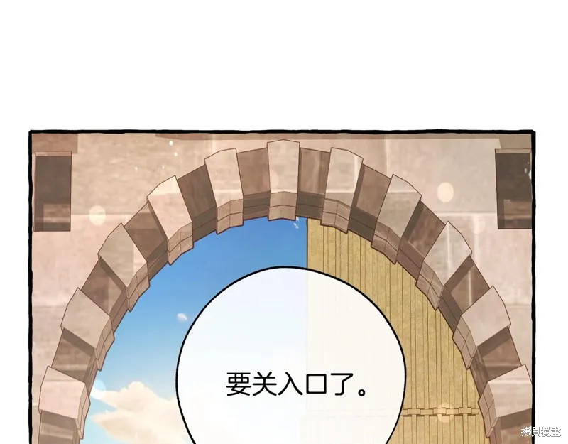 第204页