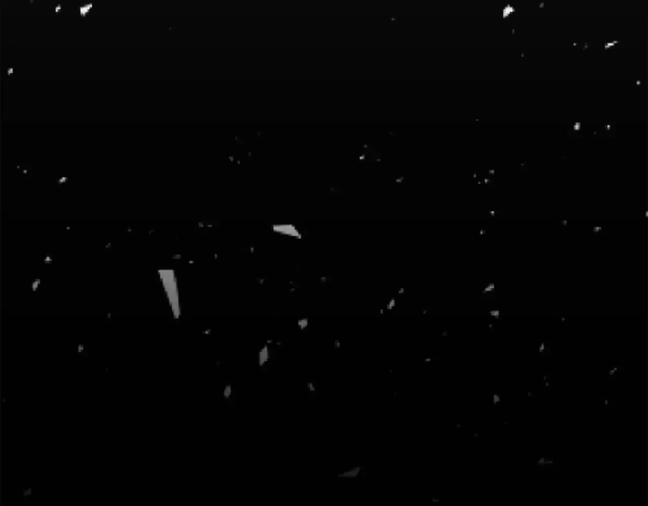 第207页