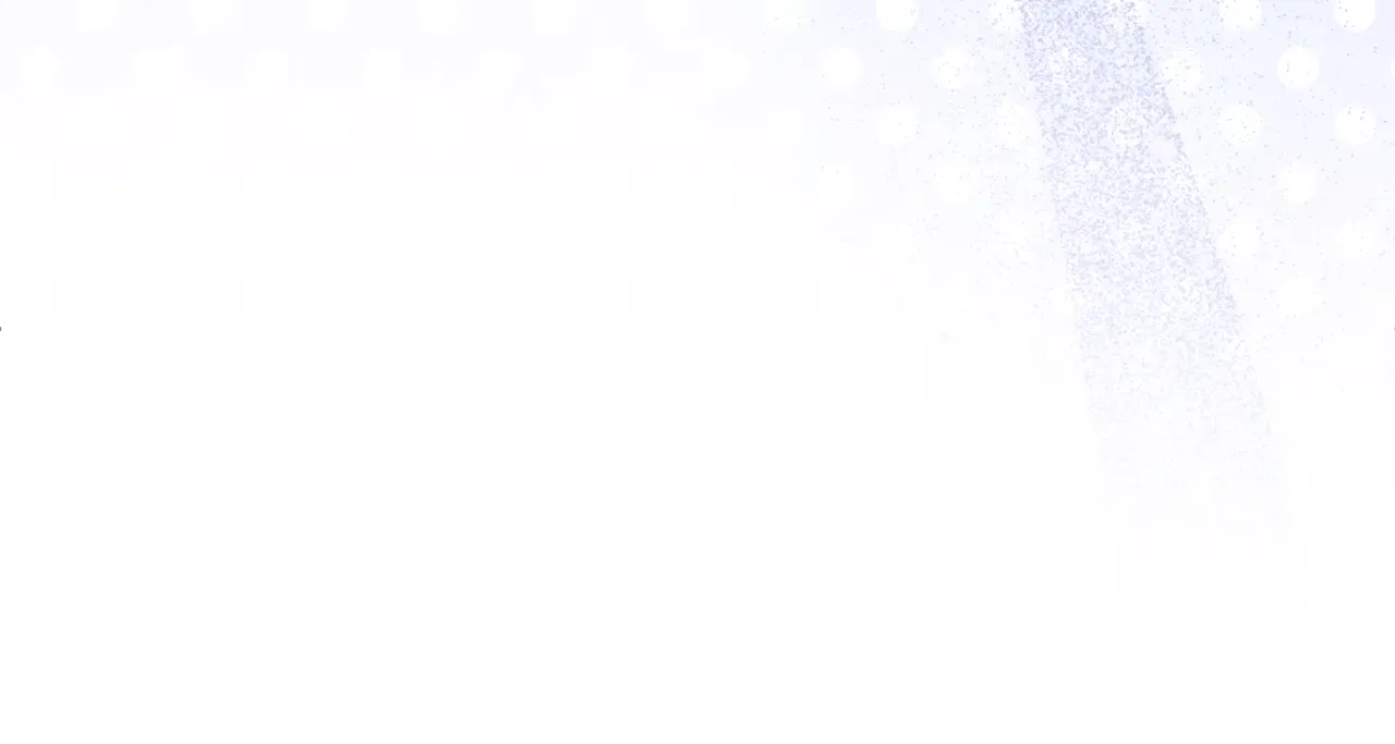 第217页