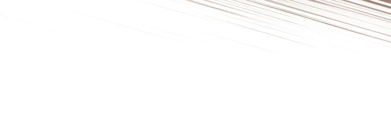 第206页