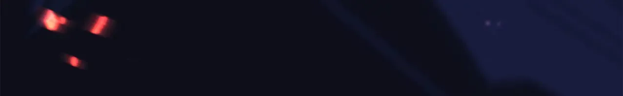第242页
