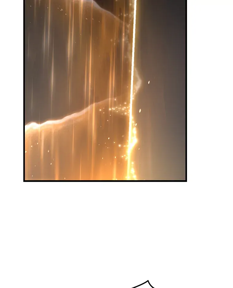 第242页