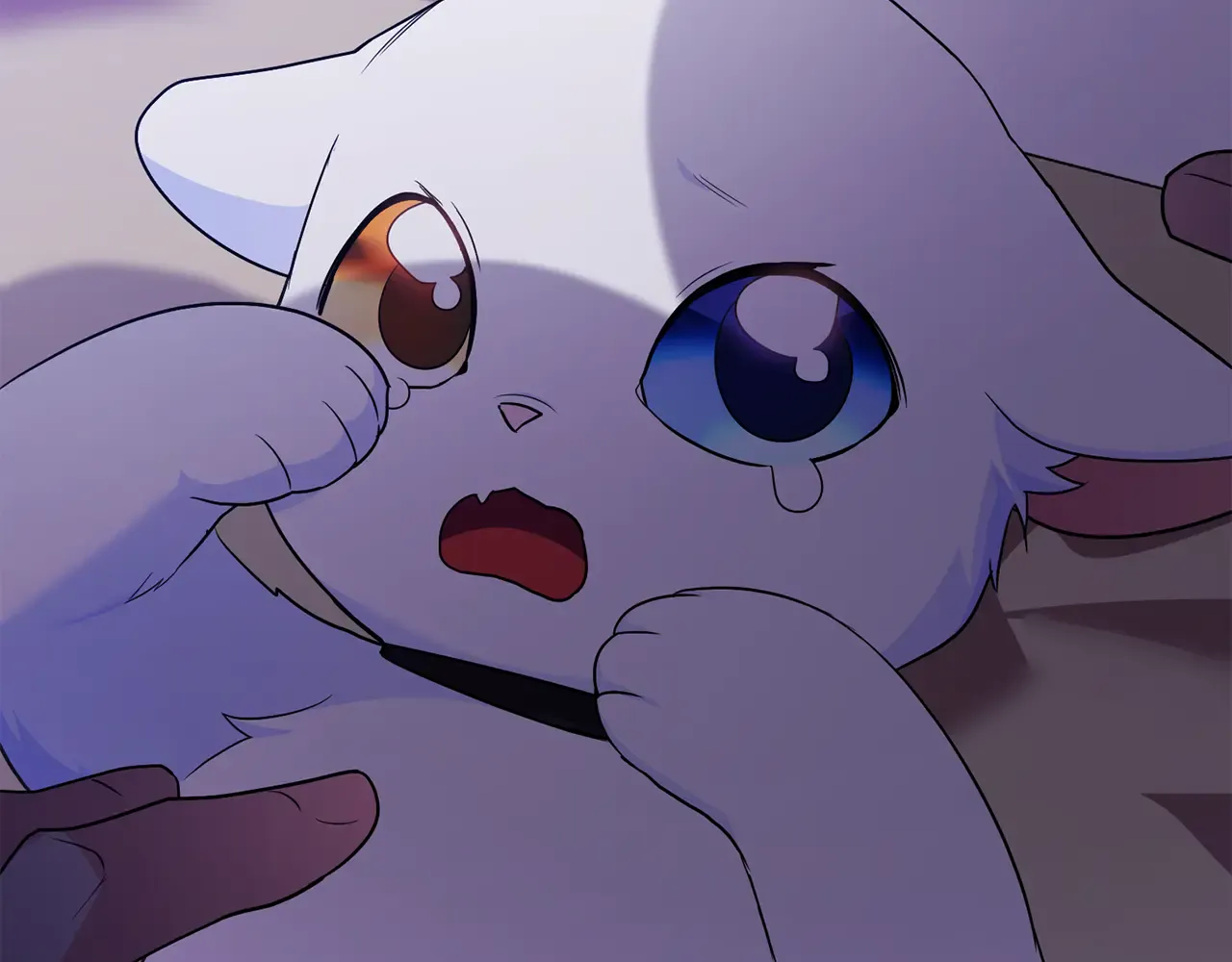 第203页