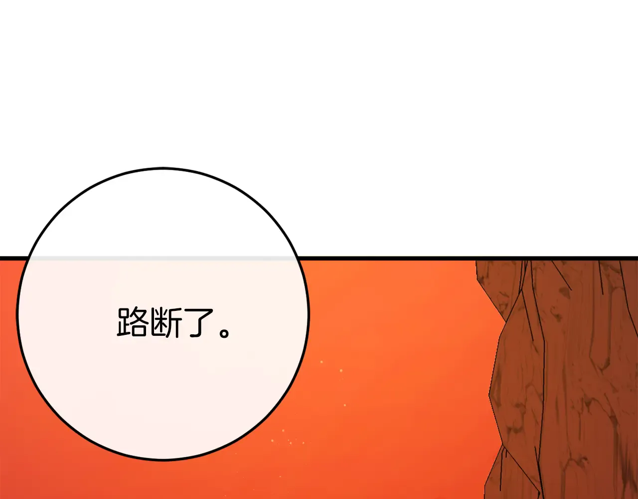 第246页