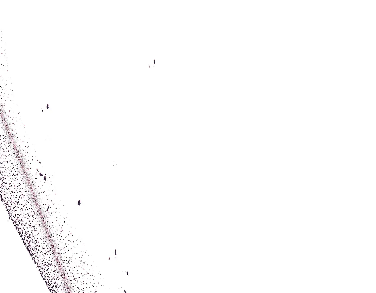 第210页