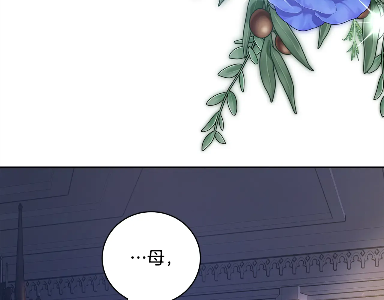 第250页