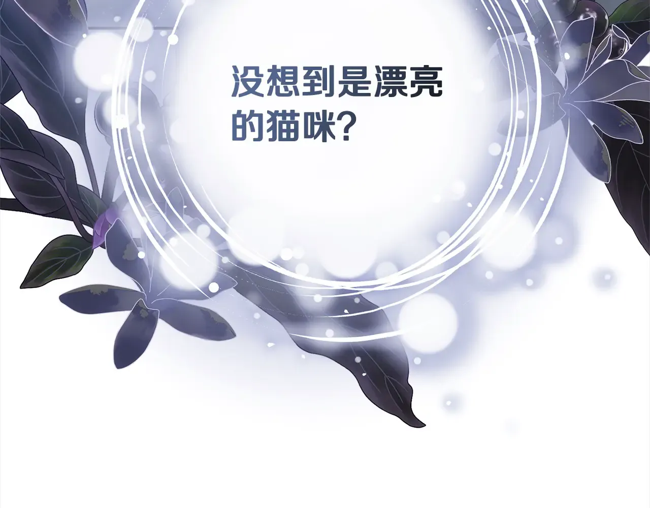 第241页