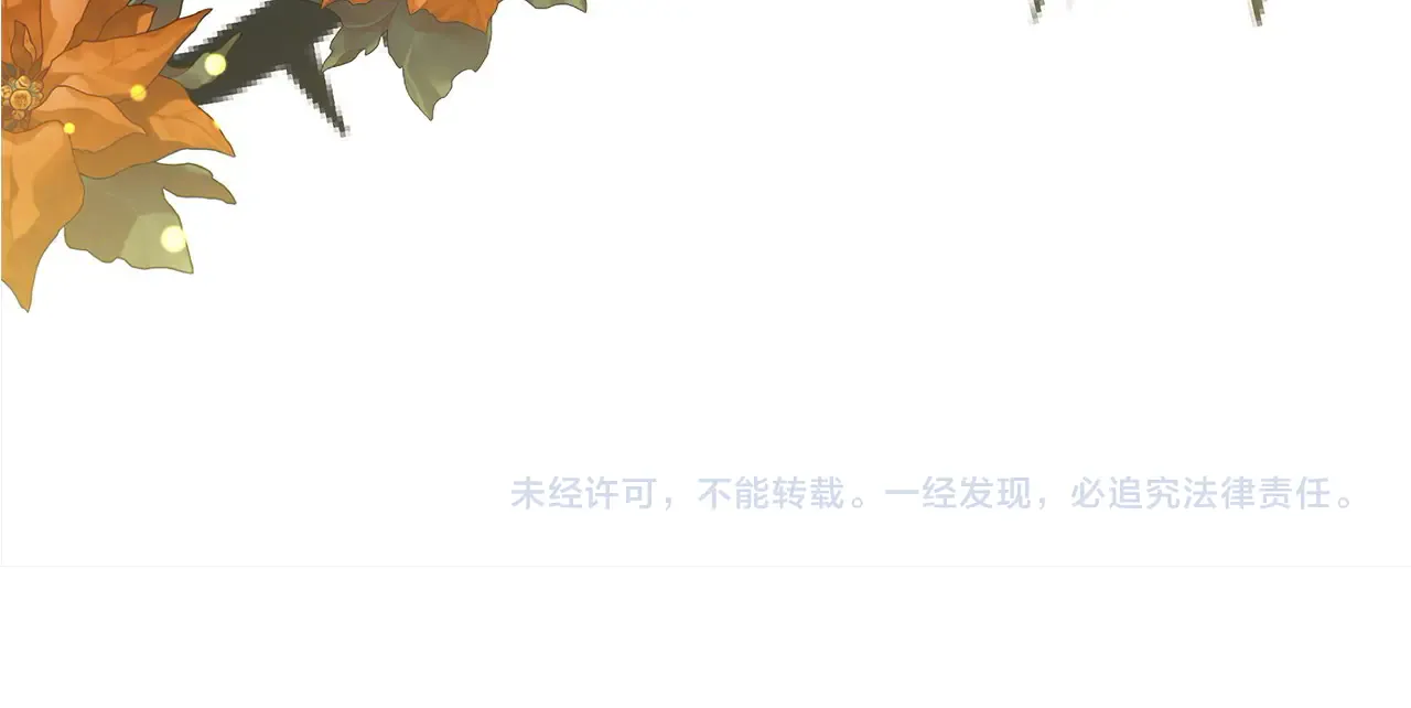 第217页