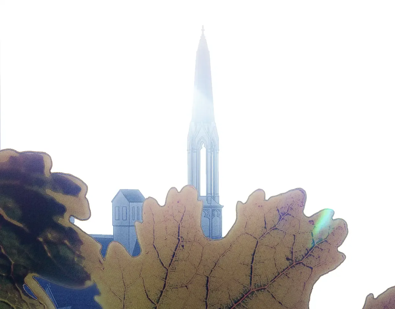 第177页