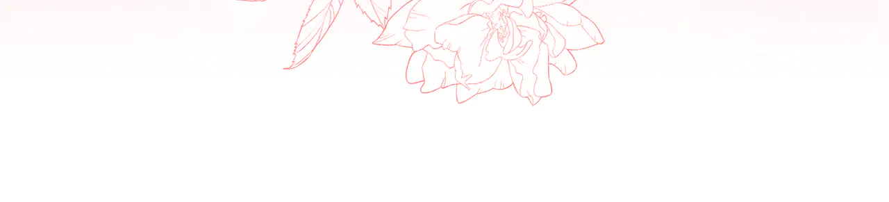第206页