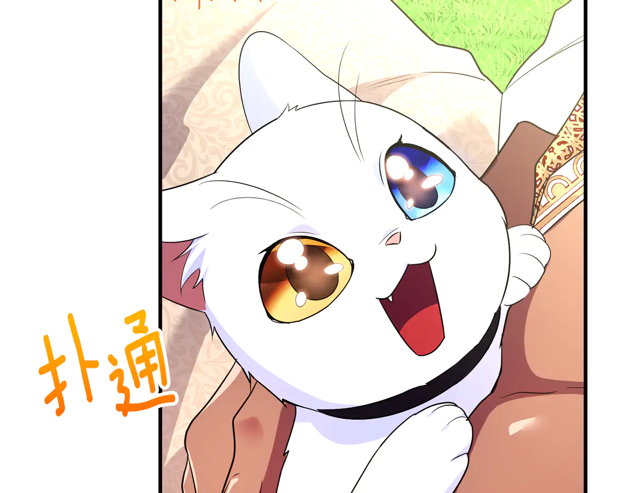 第210页