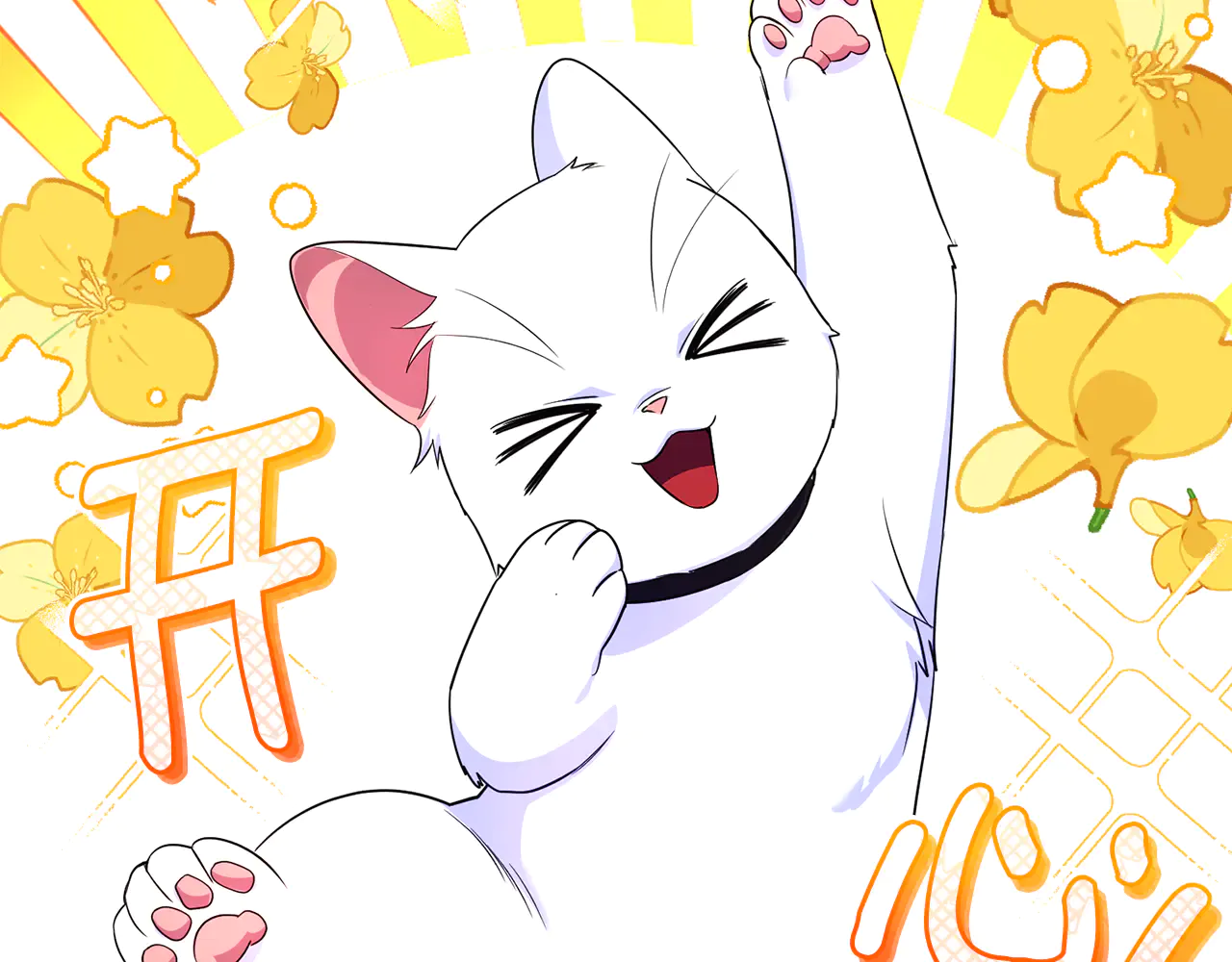 第216页