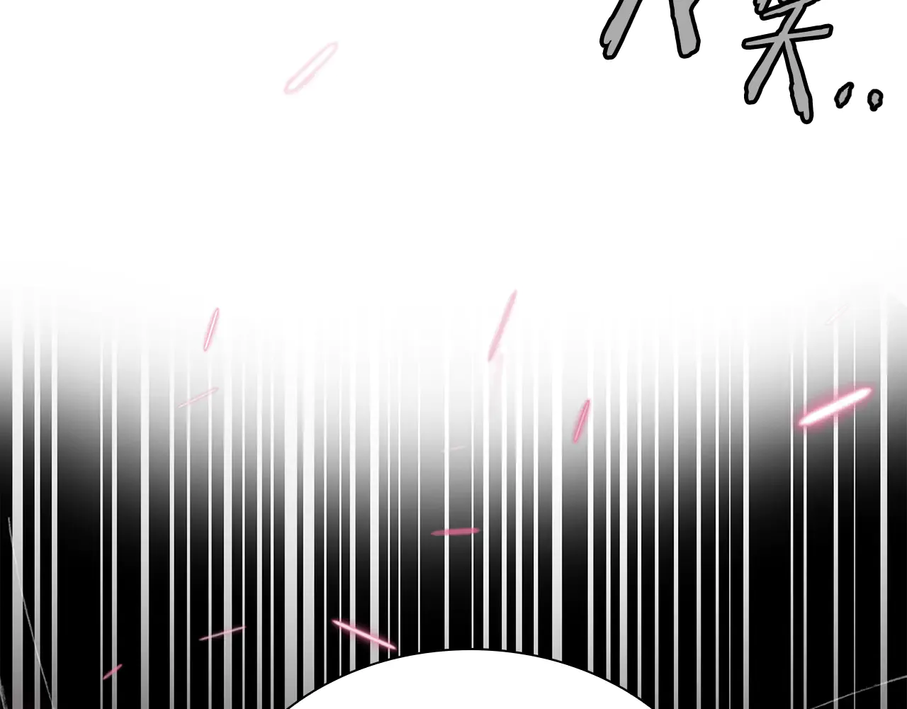 第236页