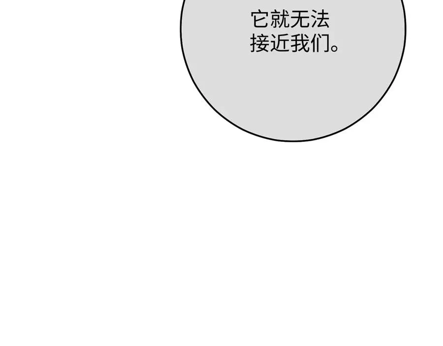 第244页