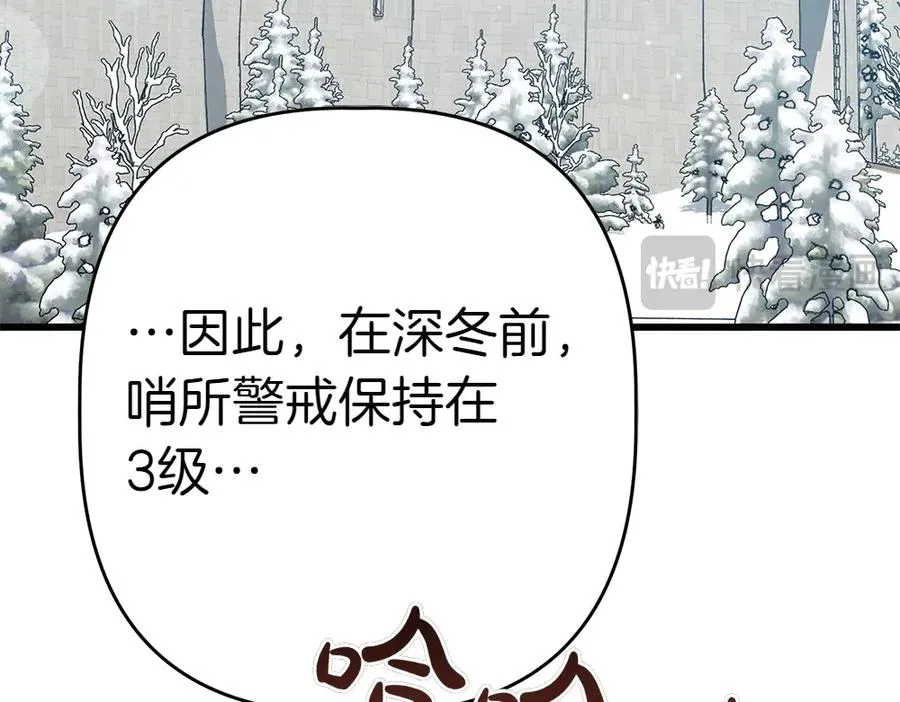 第204页