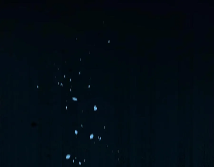 第267页