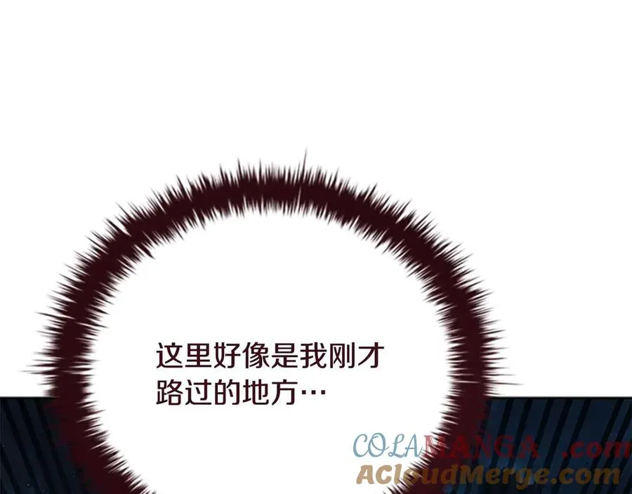 第213页