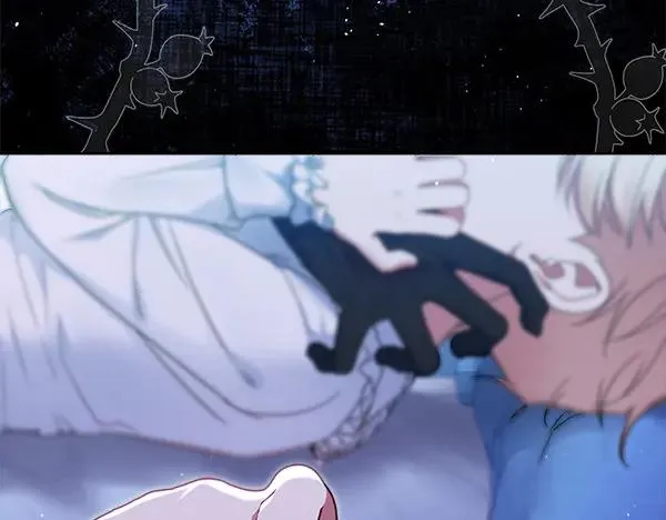 第216页