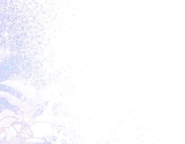 第183页
