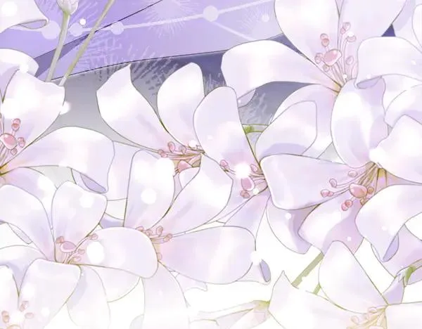 第247页