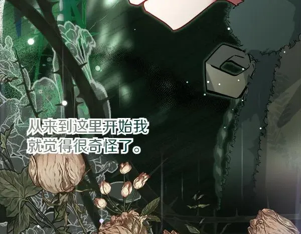 第196页