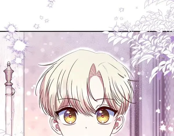 第223页