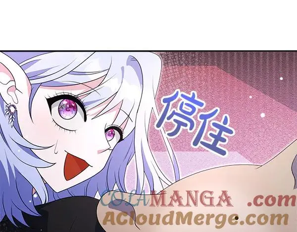 第221页