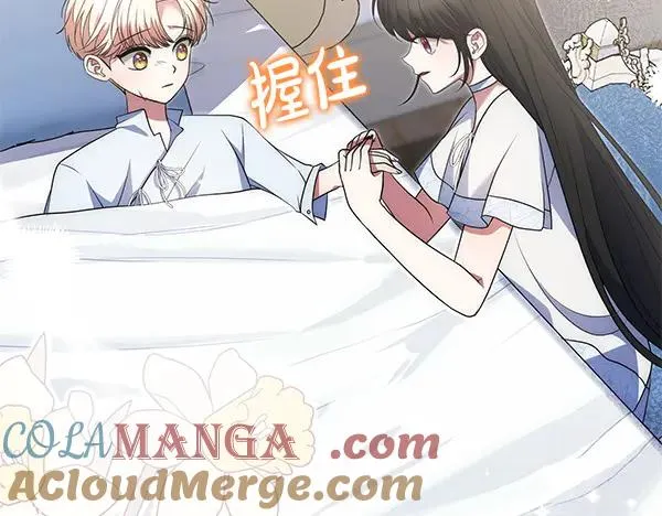第253页