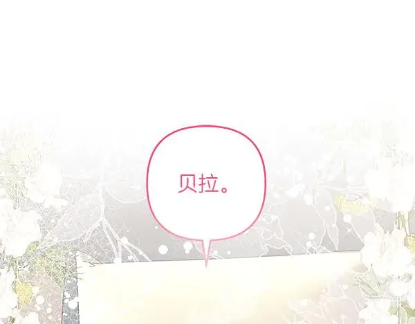 第256页