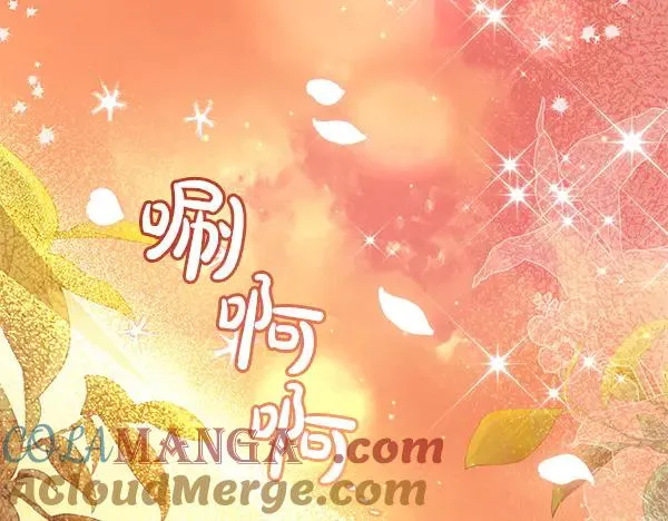第213页